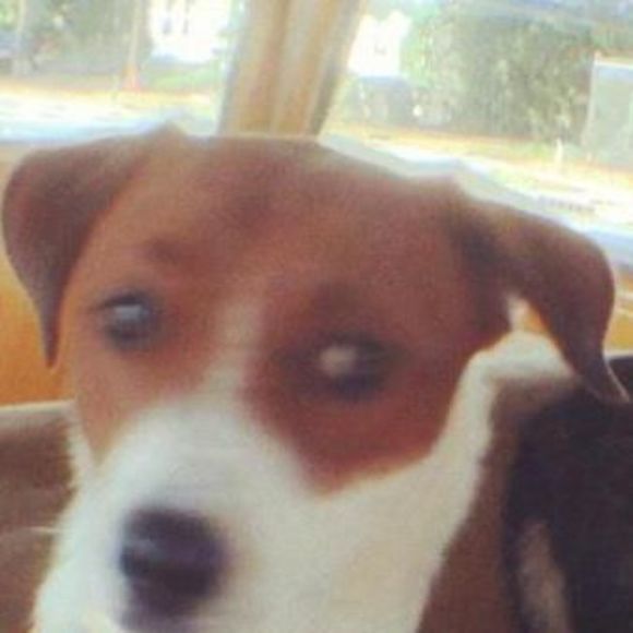 Meet your Posher, Brian - Picture 1 of 1